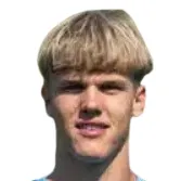 D. Hölbling