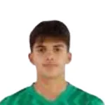 Volkan Sari