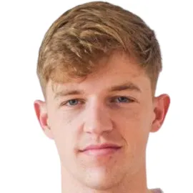 P. Szűcs