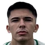 Arda Yeşil