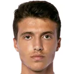 L. Božičković