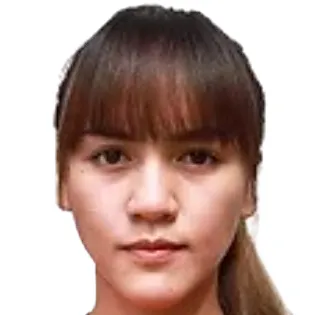 Y. Pan