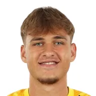 M. Popa