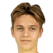N. Aleksandrovs