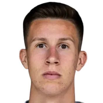 R. Zikovic