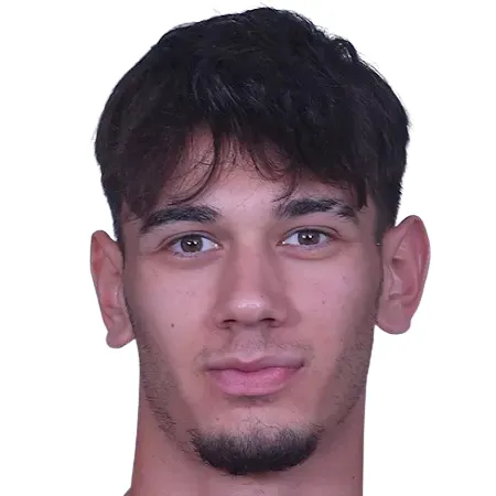 Mustafa Mete Tetik