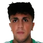 Hebun Şanlı