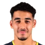 I. Ziani