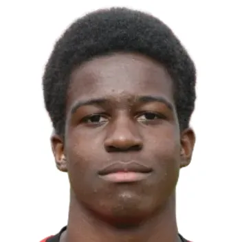 M. Moussa