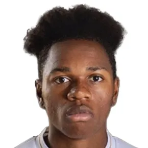 D. Ndembo-Michel