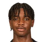 D. McCoy