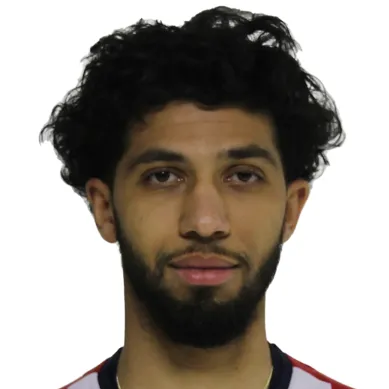 Z. Bahous