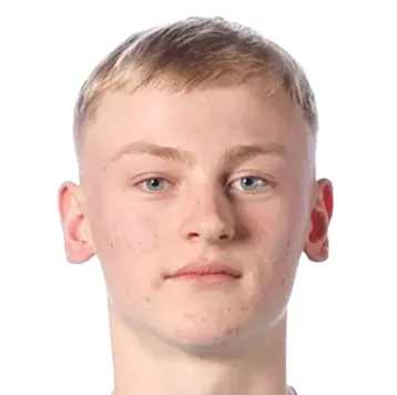 V. Karlsson
