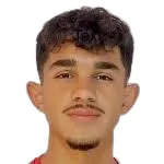 M. Hamza