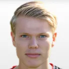 R. van Strien