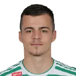 D. Savič