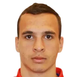 M. Lazarevic