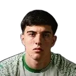 Arthur Borghi