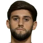 V. Paşayev
