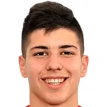 M. Vukotic