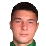 Metehan Özden