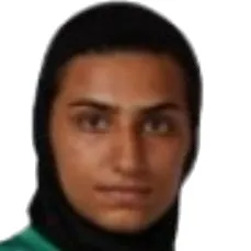 F. Amineh