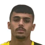 N. Dabush