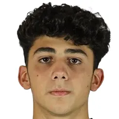 N. Gishyan