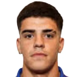 F. Gulli