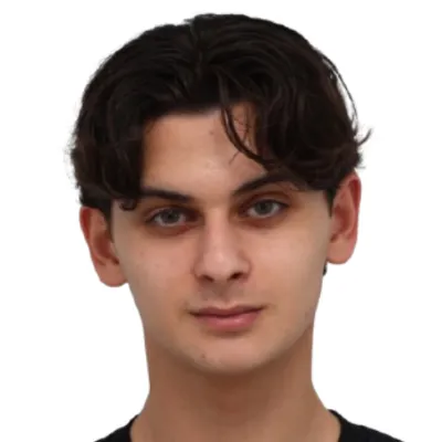 Mirza Yalçın