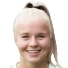 L. Nienhuis