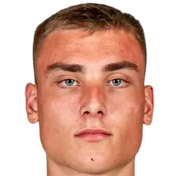 V. Jankovic