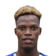 D. Dodo