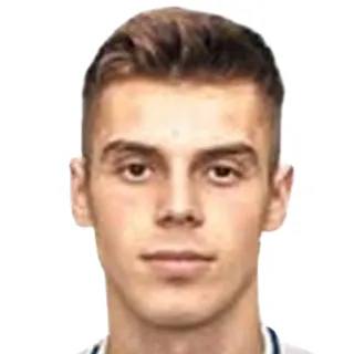N. Ajetovikj