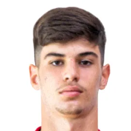 R. Ribeiro