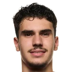 S. van Persie