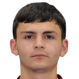 N. Janoyan