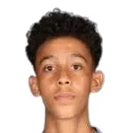 Y. Ibrahim