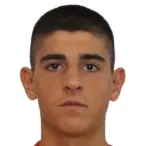 I. Vukcevic