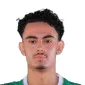 Y. Abdelrahman