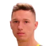 M. Vuk