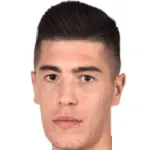 D. Vokic