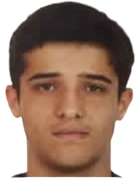 Mehmet Efe Bodur
