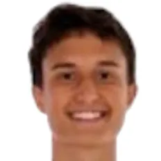 M. Mitrovic