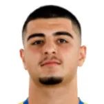 H. Ertürk