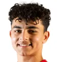 I. Abdelhamid