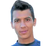 R. Botta