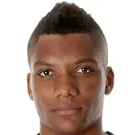 J. Fernandes