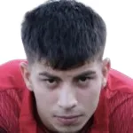 Cihan Arda Soylu