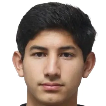 A. Magallón